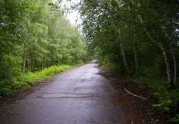 almaring035