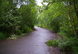 almaring038
