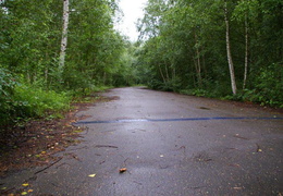 almaring044