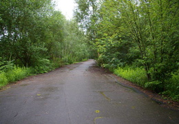 almaring004