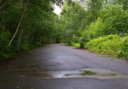 almaring006