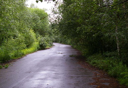 almaring005