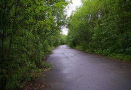 almaring008