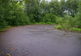 almaring011