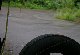 almaring013