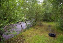 almaring017