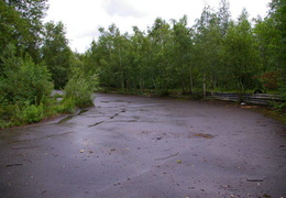 almaring019