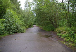almaring022