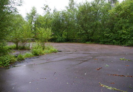 almaring023